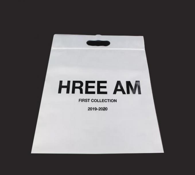 Impresión personalizada Bolsas de plástico de cierre de cerradura ecológicas con mango para ropa Bolsa de embalaje 1