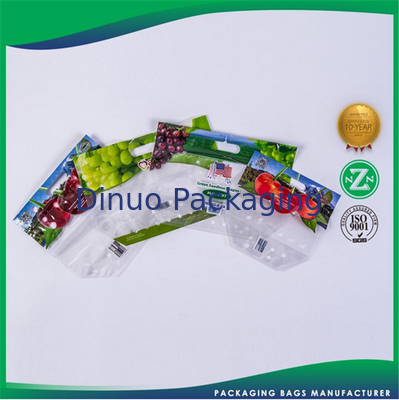 La aduana plástica reciclable imprimió los bolsos de empaquetado para la comida/la ropa/ultramarinos