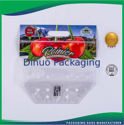 La aduana plástica reciclable imprimió los bolsos de empaquetado para la comida/la ropa/ultramarinos