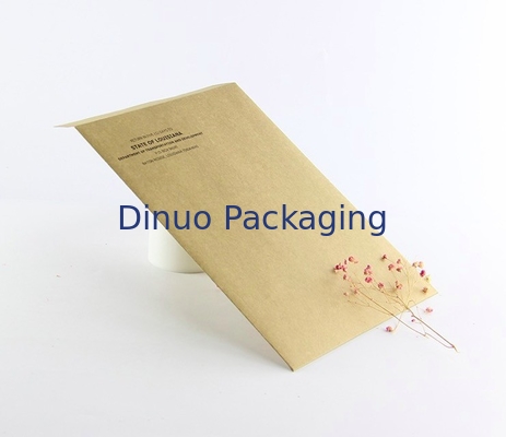 CMYK que imprime al mensajero Packing Bags de Kraft los 9.5x14.5cm